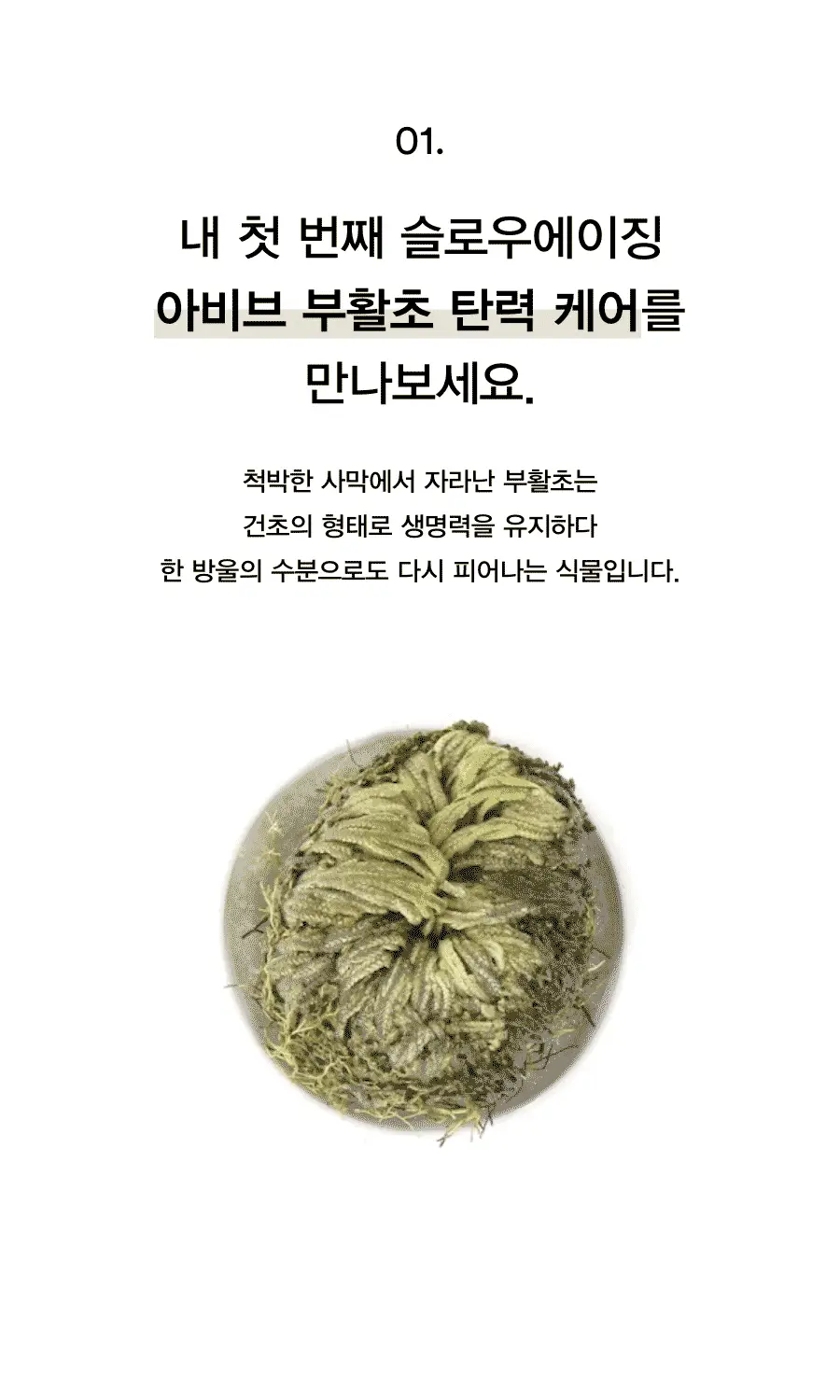 [채서안PICK/보습탄력] 아비브 부활초 크림 뉴트리션 튜브 75ml 기획 (+30ml 추가 증정) 상세페이지 5